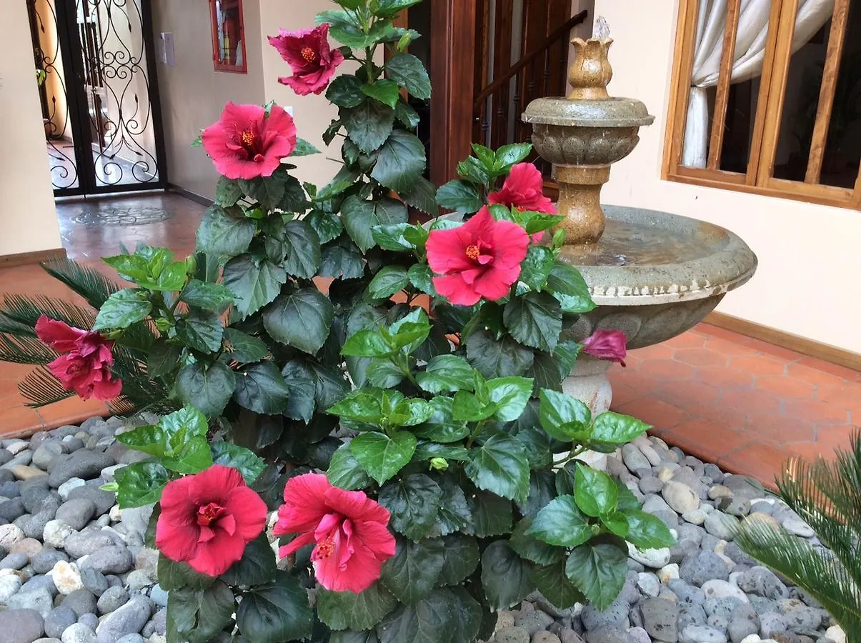 Welche sind die besten Hotels in der N\u00E4he von El Cajas National Park? Cuenca Ecuador