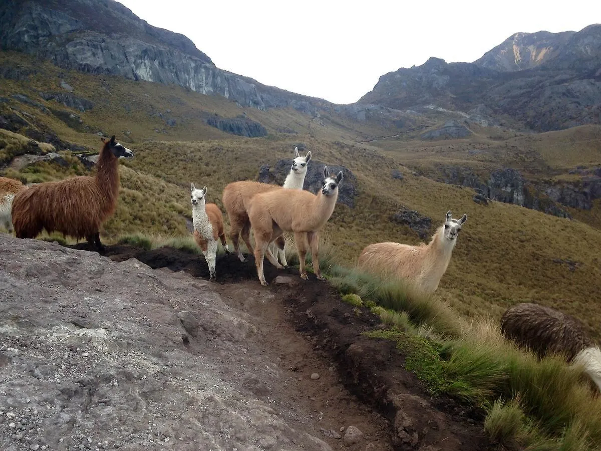 Kter\u00E9 jsou ty nejlep\u0161\u00ED hotely v\u00A0okol\u00ED atrakce El Cajas National Park? Cuenca